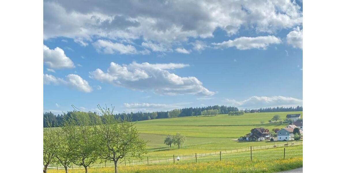 Dachgeschoßwohnung Seewald - 4 Zimmer, 116 m&sup2;, 900&euro; | Angebot:26403096