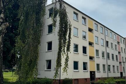 Gepflegte 3 oder 2 Zimmer Wohnung, Balkon, Salzgitter-Lebenstedt zimmer