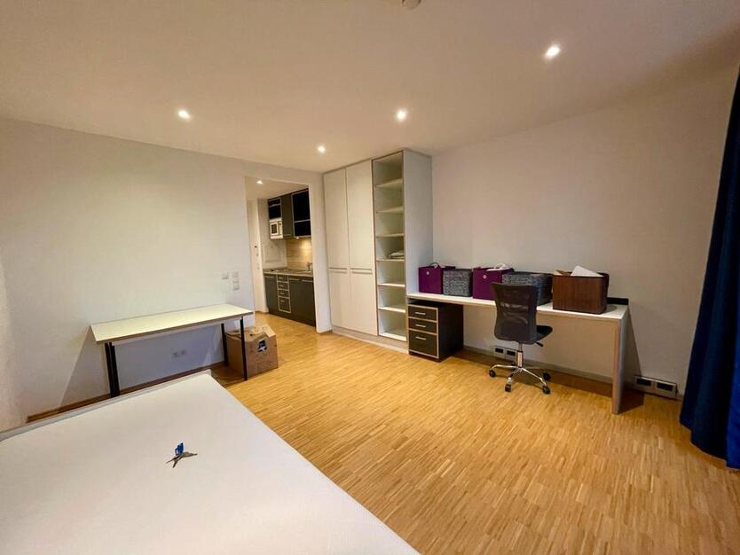 1 Zimmer Wohnung ERBA-Insel