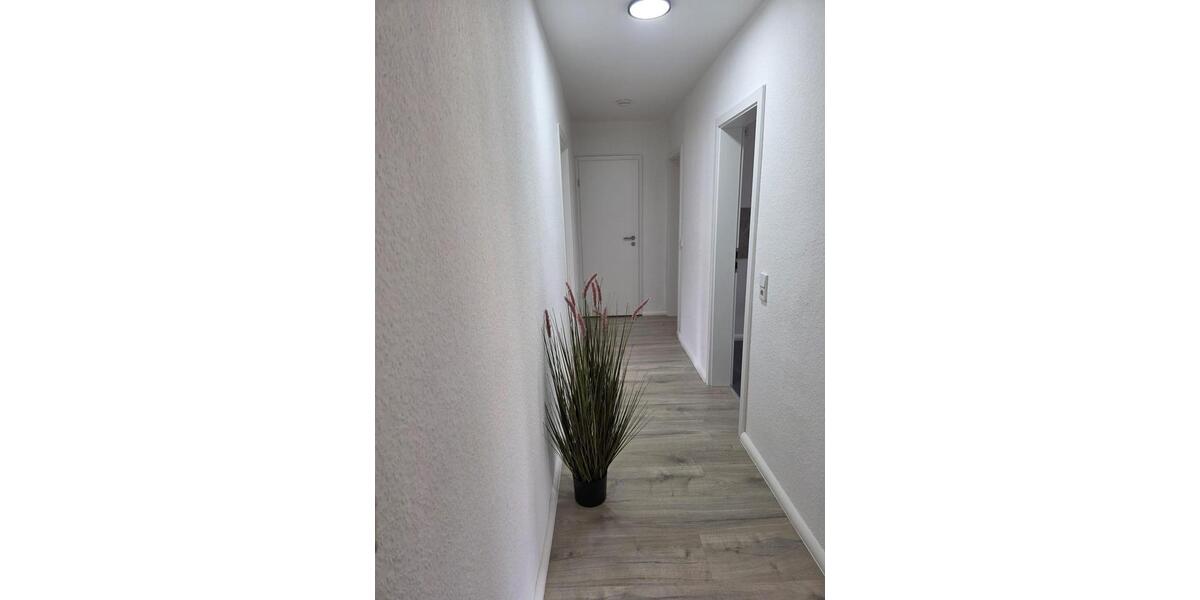 Dachgeschoßwohnung Meerane - 3 Zimmer, 71 m&sup2;, 560&euro; | Angebot:26038819