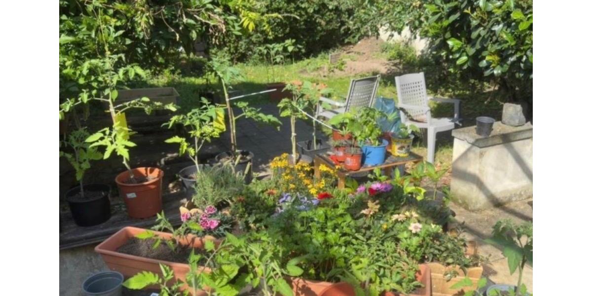Wohnen auf Zeit Bonn Gronau - 21 Zimmer, 2 m&sup2;, 735&euro; | Angebot:26438491
