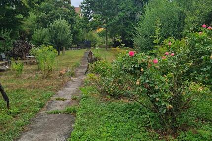 Wohnen auf Zeit Waltershausen - 6 Zimmer, 150 m&sup2;, 345&euro; | Angebot:26150533