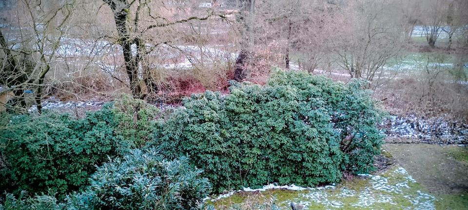 Etagenwohnung Melbeck - 2 Zimmer, 63 m&sup2;, 750&euro; | Angebot:24746039