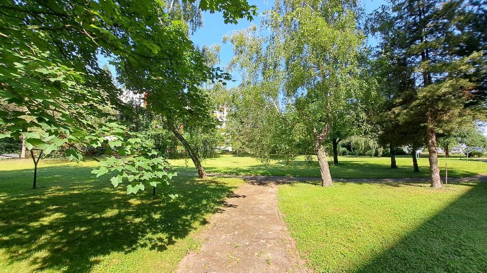 Etagenwohnung Magdeburg Großer Silberberg - 1 Zimmer, 36 m&sup2;, 216&euro; | Angebot:24766017