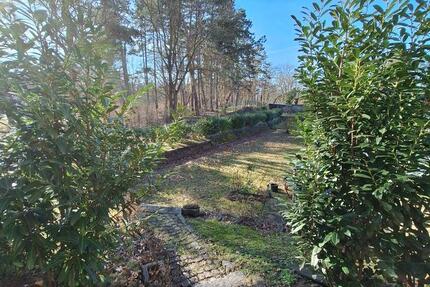 Wohnung Wittenberge - 3 Zimmer, 149 m&sup2;, 1.100&euro; | Angebot:25478790