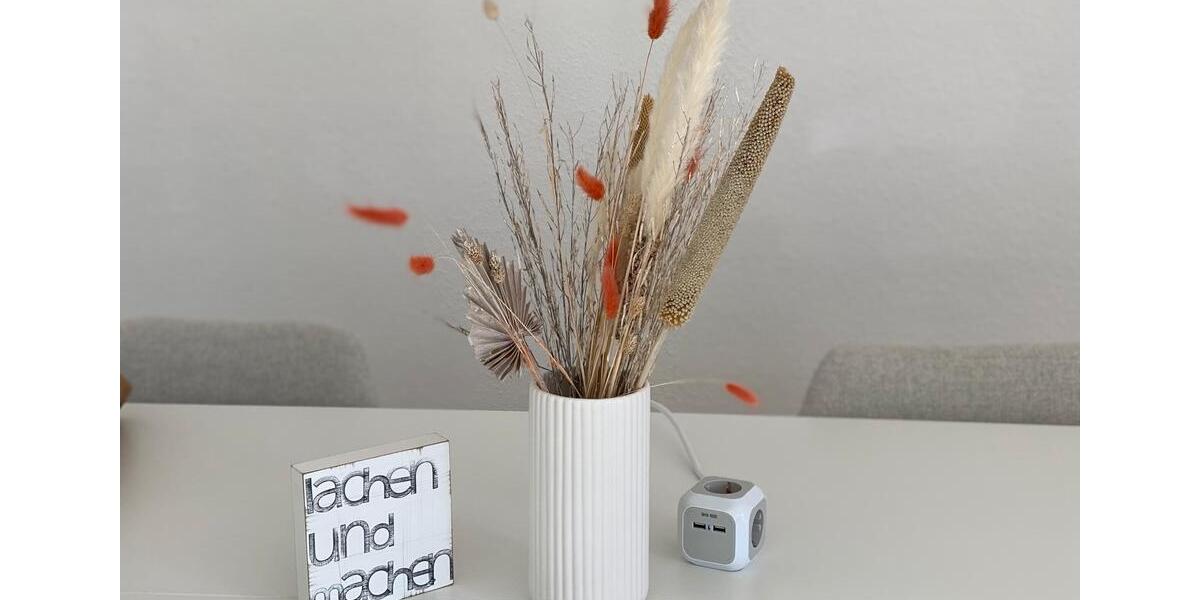 Co Working Arbeitsplatz Lev Wiesdorf zimmer