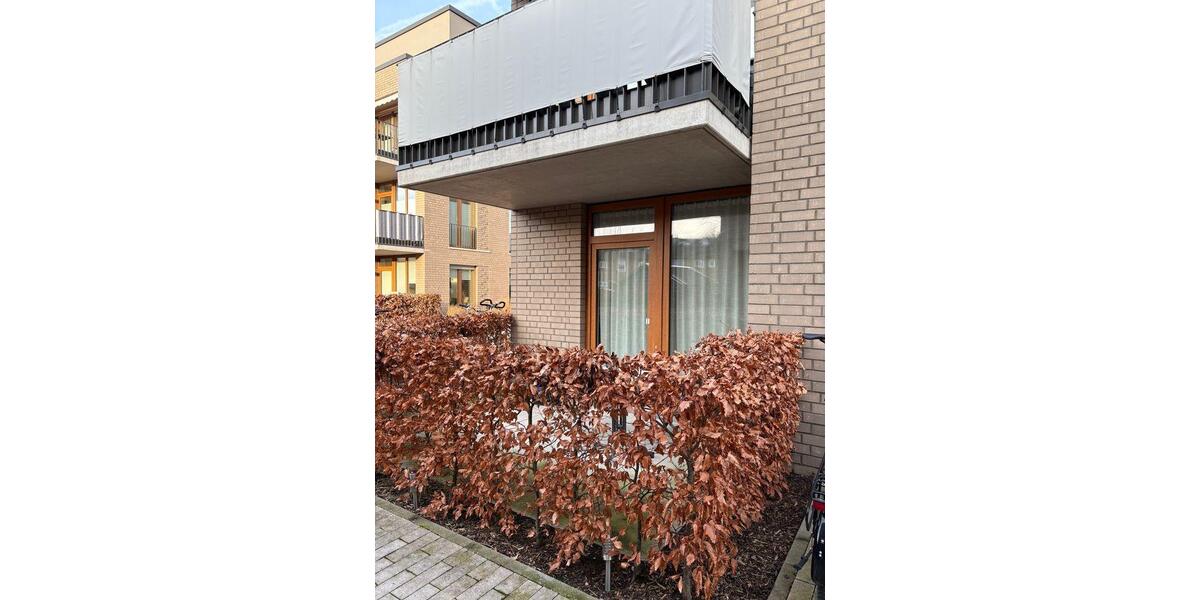 Erdgeschoßwohnung Münster Münster-Südost - 2 Zimmer, 58 m&sup2;, 710&euro; | Angebot:24846388