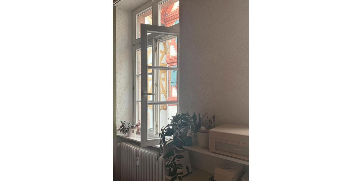 Wohnen auf Zeit Hirschhorn (Neckar) - 21 Zimmer, 97 m&sup2;, 527&euro; | Angebot:25844224