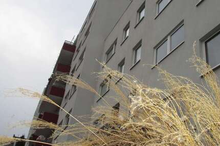 Wohnung zum Mieten in Wiesbaden 410 € 36 m²