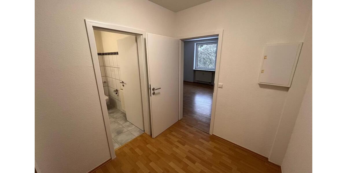 Renovierte 1-Zimmer-Wohnung in Bad Bevensen - ab sofort frei ! 1 zimmer