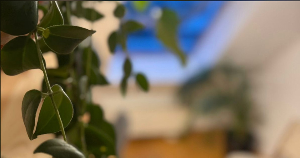 Dachgeschoßwohnung Berlin Pankow - 3 Zimmer, 58 m&sup2;, 1.700&euro; | Angebot:25898715