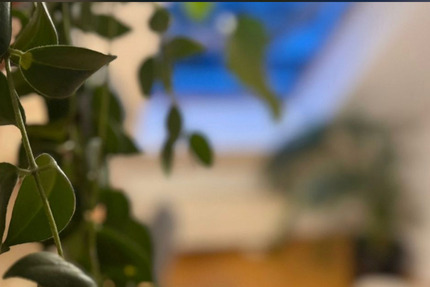 Wohnung Berlin Pankow - 3 Zimmer, 58 m&sup2;, 1.700&euro; | Angebot:25898715