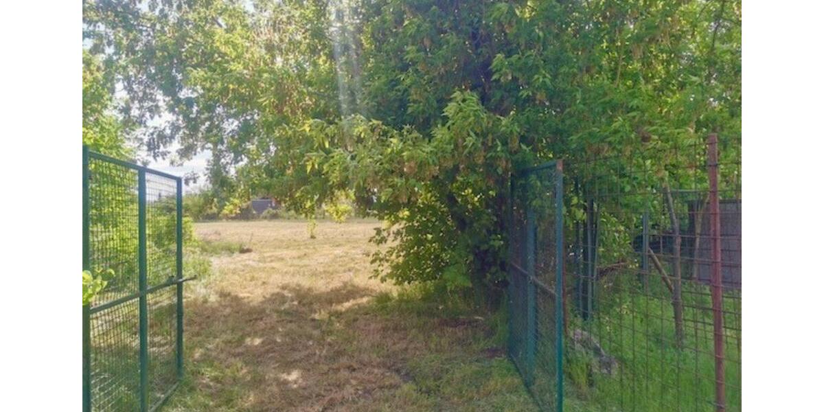 Gewerbeobjekt Biederitz - 300&euro; | Angebot:22916673