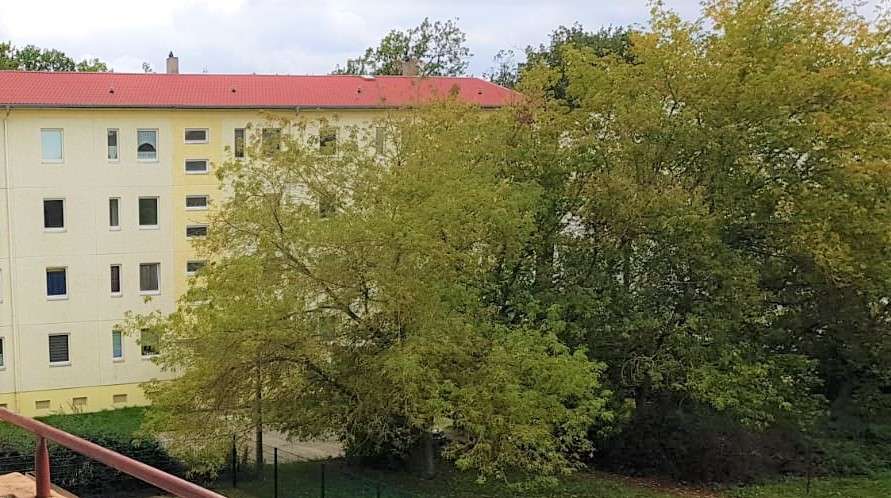 NEU - frisch renovierte 3 Zimmer mit Balkon und Einbauküche! Flexibel ab 6 Monate zu vermieten. - Appartement Annaburg | Angebot:17600958