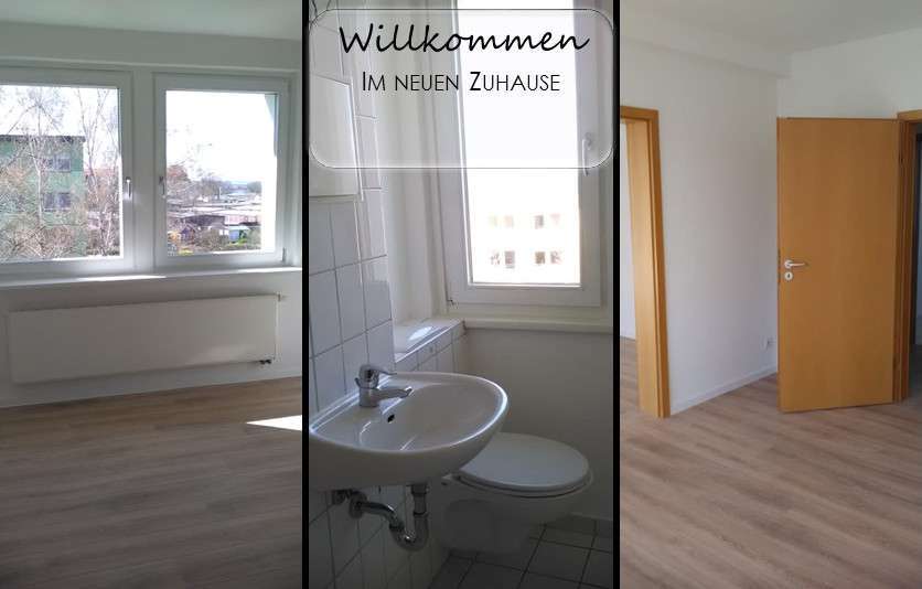Wohnung zum Mieten in Chemnitz 255 € 46.36 m² 2 zimmer