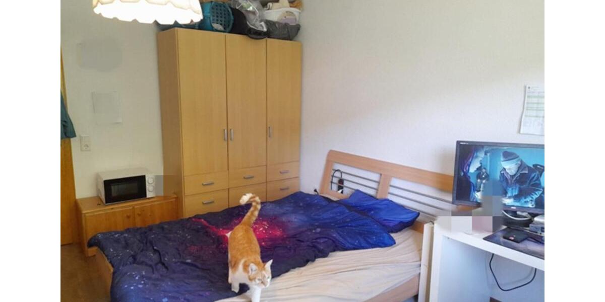 Terrassenwohnung Wald-Michelbach Michelbach - 1 Zimmer, 20 m&sup2;, 350&euro; | Angebot:24884247