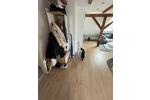 Dachgeschoßwohnung Rinteln - 2 Zimmer, 60 m&sup2;, 700&euro; | Angebot:26638197