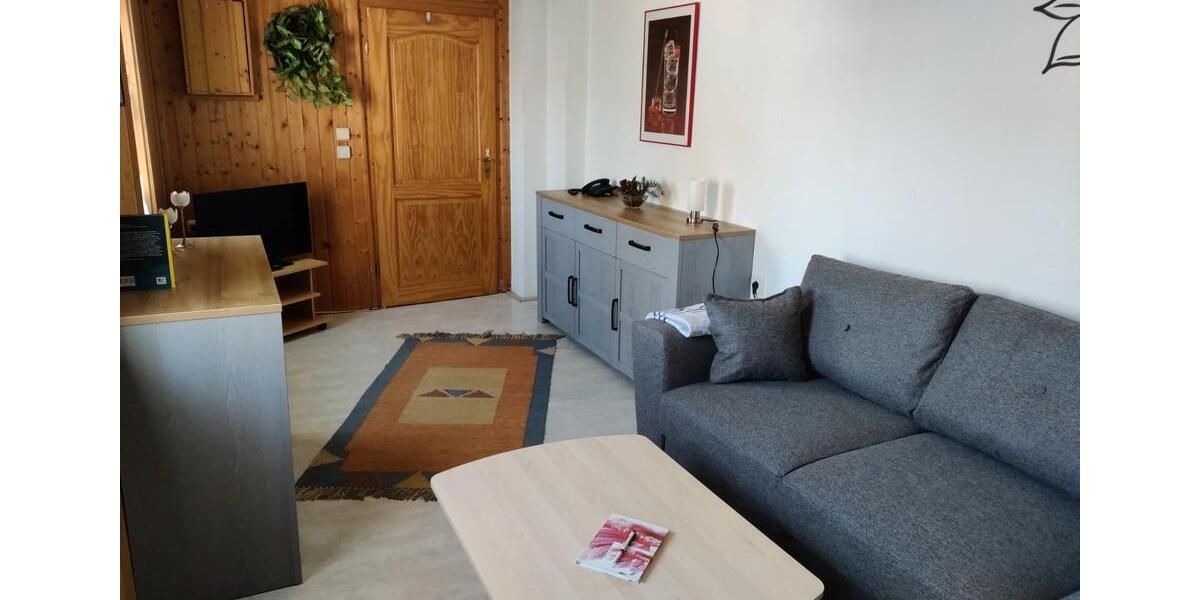 Wohnen auf Zeit Halle (Saale) Gesundbrunnen - 1 Zimmer, 30 m&sup2;, 500&euro; | Angebot:26693317