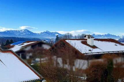 Wohnung Surberg - 2 Zimmer, 90 m&sup2;, 1.150&euro; | Angebot:24782027