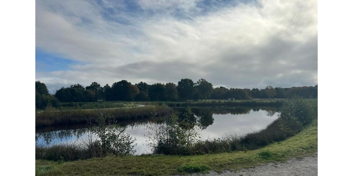 Erstbezug im Zukunftshaus | Ökologisch, effizient, einzigartig - mit Einbauküche! zimmer