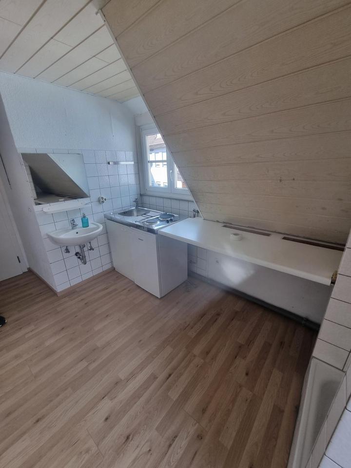 Charmantes 1,5-Zimmer Apartment in Tübingen 1 zimmer