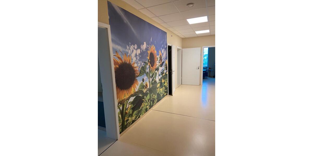 Erdgeschoßwohnung Hohen Neuendorf Bergfelde - 8 Zimmer, 210 m&sup2;, 2.992&euro; | Angebot:25083266