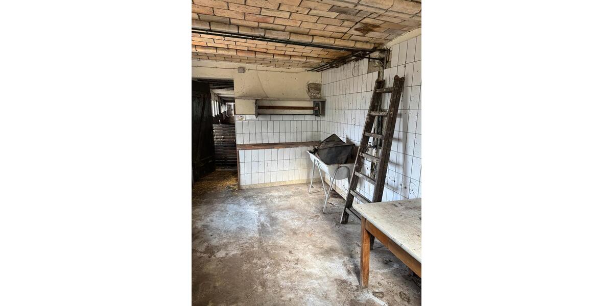 Gewerbeobjekt Flensburg Altstadt - 750&euro; | Angebot:25980668