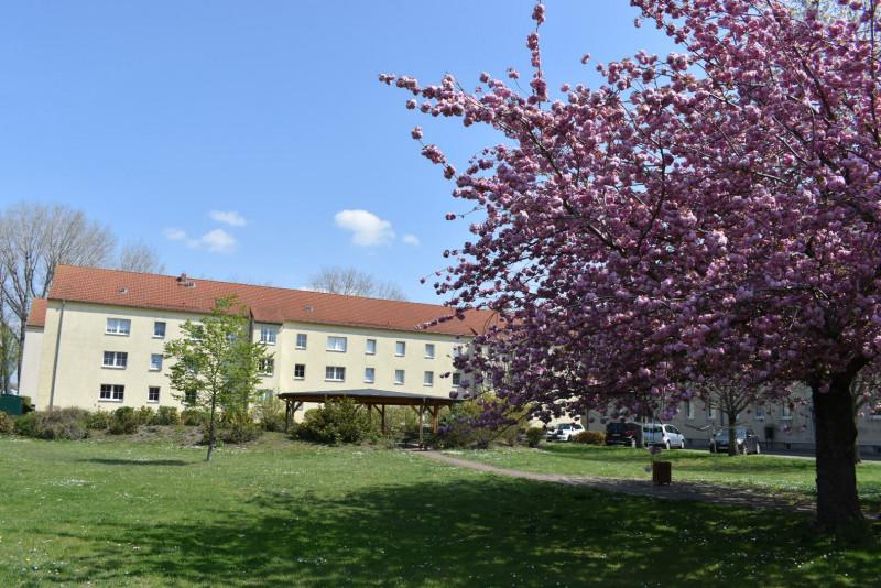 Erdgeschoßwohnung Staßfurt - 2 Zimmer, 51 m&sup2;, 305&euro; | Angebot:23858702