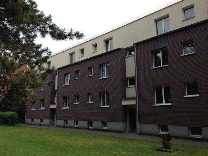 Frisch sanierte 3-Zi.-Whg. mit offener Küche in der Nähe vom Kupferteich