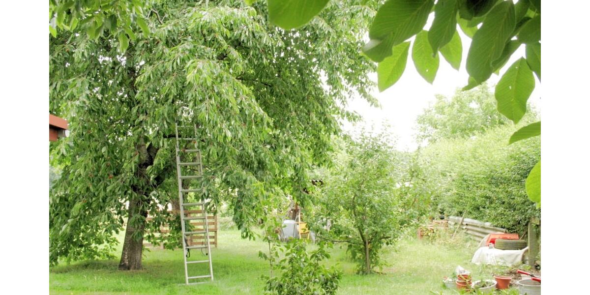 Lubachau - Familienglück im Grünen 7 zimmer