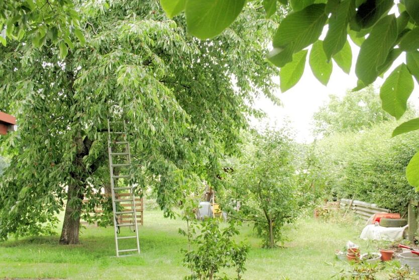 Lubachau - Familienglück im Grünen 7 zimmer