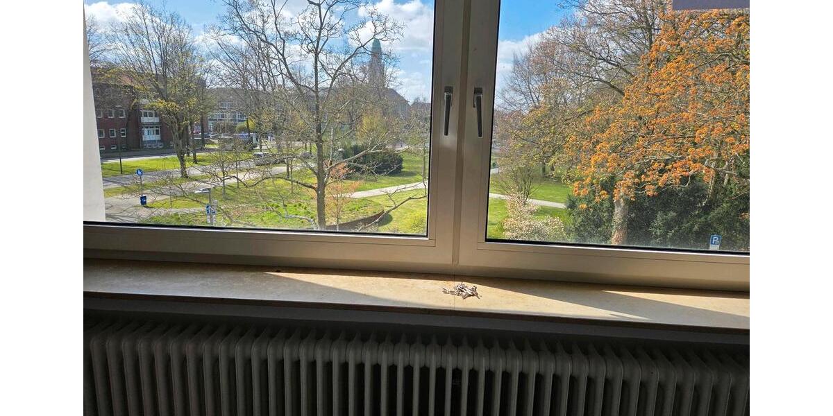 Dachgeschoßwohnung Gelsenkirchen Buer - 1 Zimmer, 44 m&sup2;, 400&euro; | Angebot:25936388