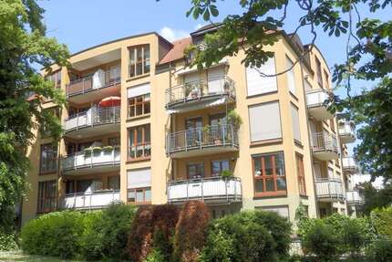 Wohnung zum Mieten in Dresden 330 € 35 m²