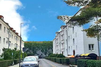 Wohnung zum Mieten in Dresden 502 € 56.68 m² 2 zimmer