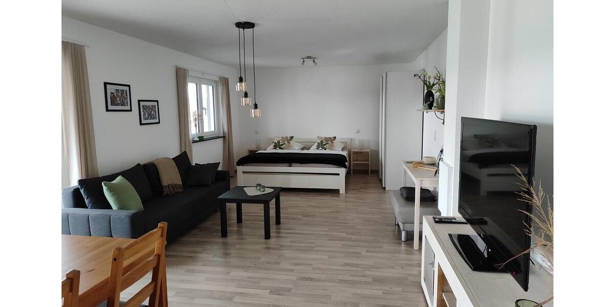 Wohnen auf Zeit Rottweil - 1 Zimmer, 50 m&sup2;, 1.220&euro; | Angebot:26219691
