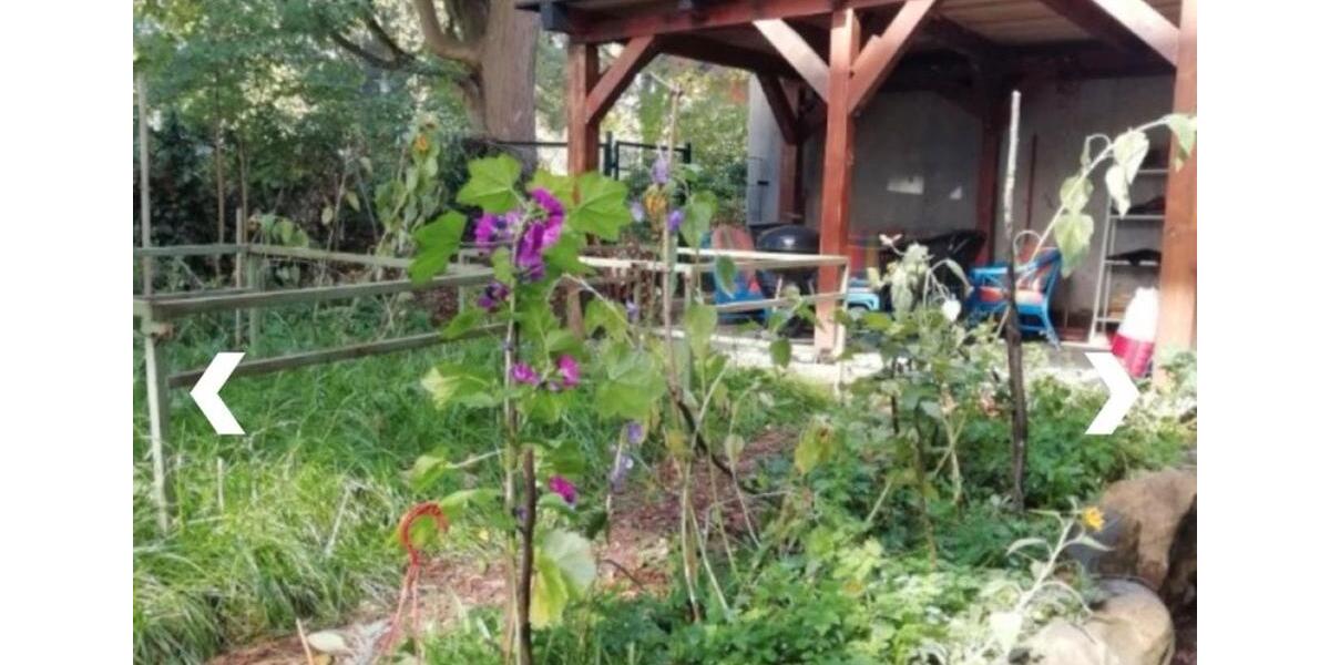 Erdgeschoßwohnung Kassel - 2 Zimmer, 30 m&sup2;, 650&euro; | Angebot:26580027