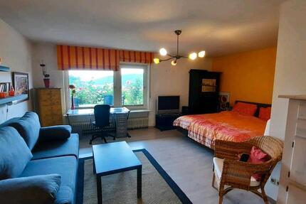 Möblierte 1-Zimmer Wohnung mit Terasse in Waldkirch 1 zimmer