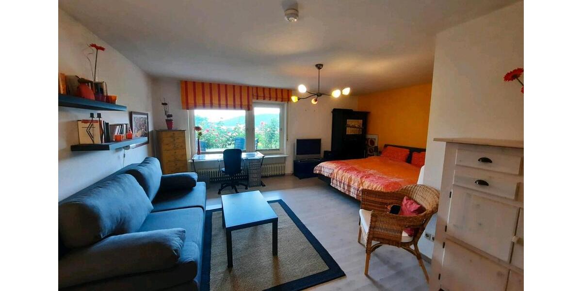 Möblierte 1-Zimmer Wohnung mit Terasse in Waldkirch 1 zimmer