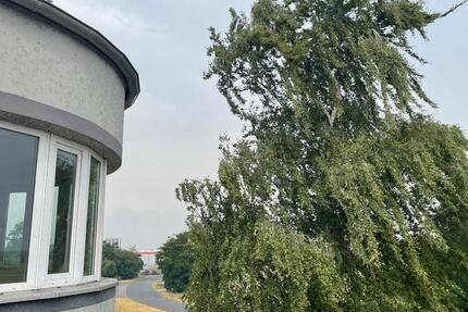 Wohnen auf Zeit Großenhain - 35&euro; | Angebot:21425183