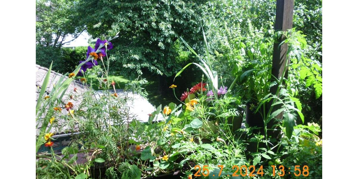 Wohnen auf Zeit Reinbek - 1 Zimmer, 24 m&sup2;, 450&euro; | Angebot:25840110