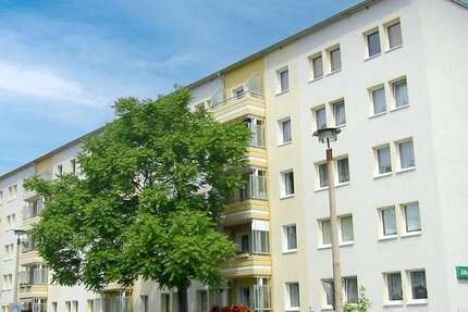 Wohnung Magdeburg Altstadt - 2 Zimmer, 47 m&sup2;, 330&euro; | Angebot:26803603