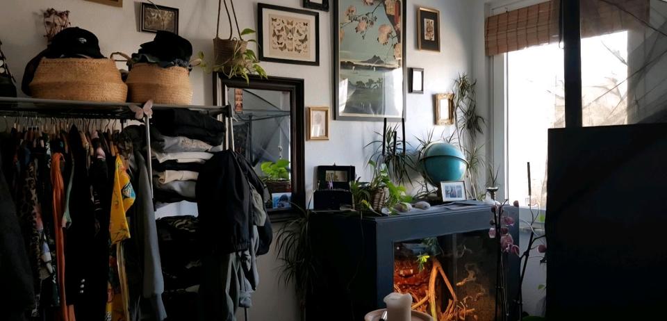 Wohnen auf Zeit Düsseldorf Stadtbezirk 8 - 1 Zimmer, 16 m&sup2;, 300&euro; | Angebot:25252853