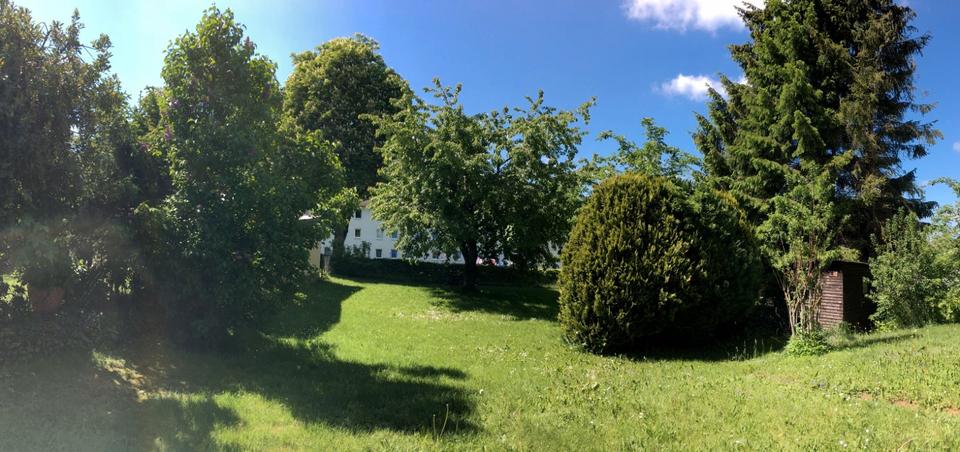 Dachgeschoßwohnung Korbach - 2.5 Zimmer, 46 m&sup2;, 440&euro; | Angebot:26050755