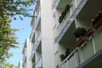 Wohnung zum Mieten in Zeitz 320 € 58.3 m²