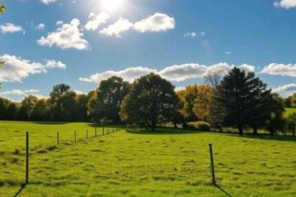 Helle Räume, grüne Umgebung - 4 Zimmer Wohnung in ländlicher Lage 4 zimmer