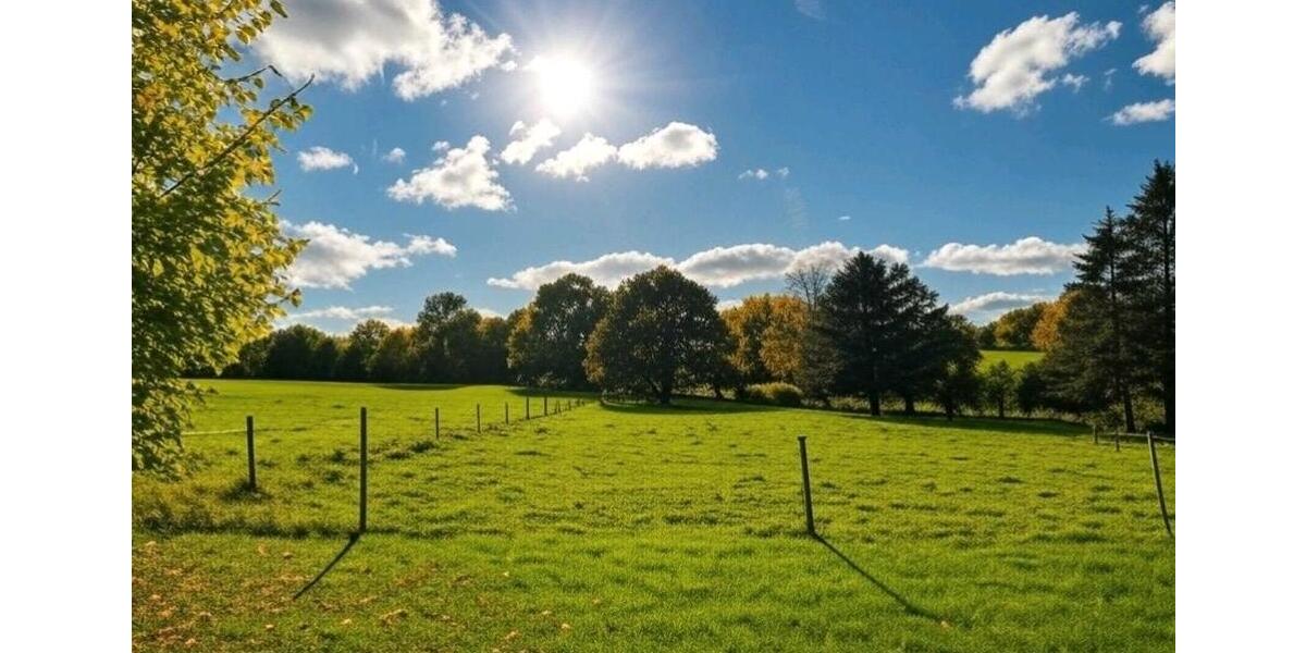 Helle Räume, grüne Umgebung - 4 Zimmer Wohnung in ländlicher Lage 4 zimmer