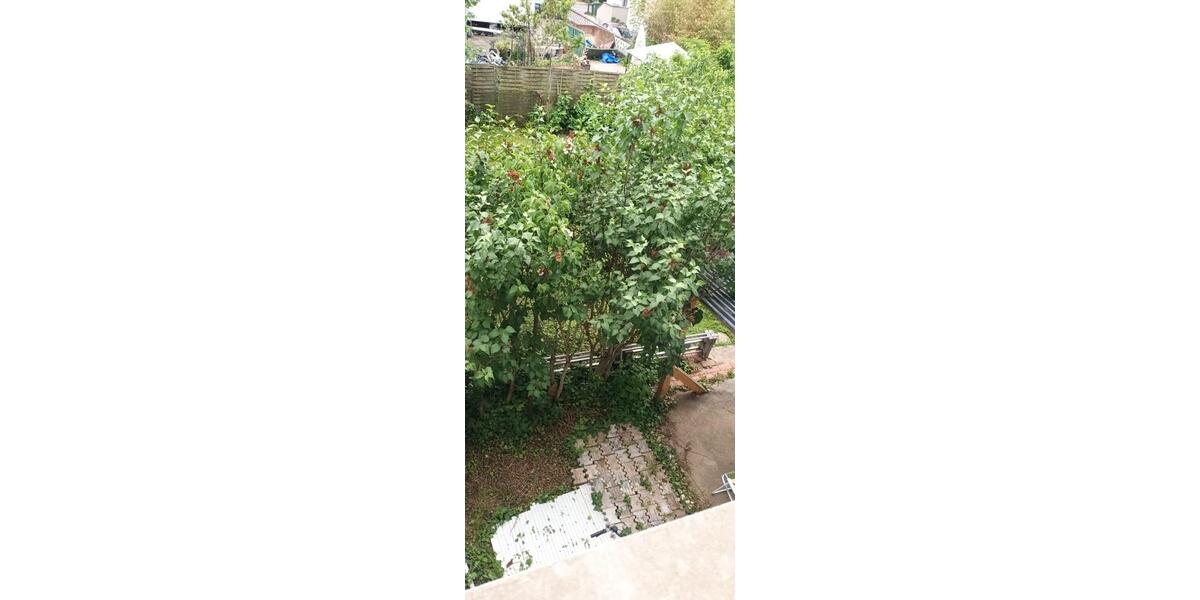 Wohnen auf Zeit Schriesheim - 1 Zimmer, 14 m&sup2;, 450&euro; | Angebot:26581476