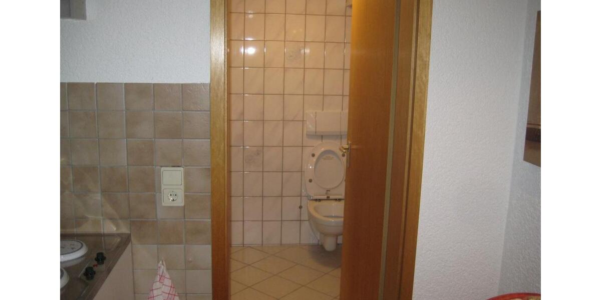 Wohnen auf Zeit Sankt Leon-Rot Rot - 1 Zimmer, 14 m&sup2;, 350&euro; | Angebot:24756828