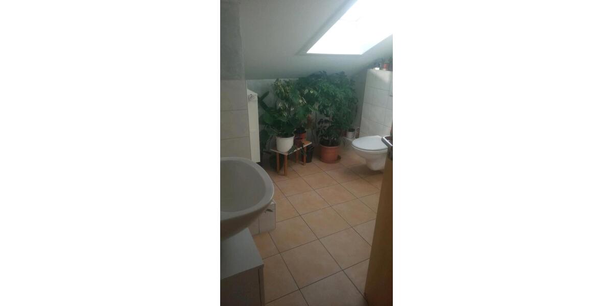 Wohnen auf Zeit Steinheim an der Murr - 1 Zimmer, 25 m&sup2;, 450&euro; | Angebot:19593194