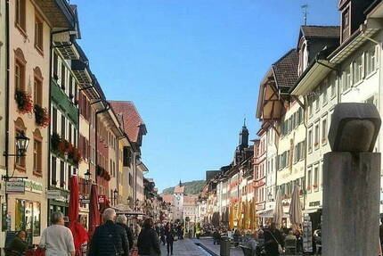 Wohnung Waldshut-Tiengen Waldshut - 3 Zimmer, 115 m&sup2;, 1.724&euro; | Angebot:25996664